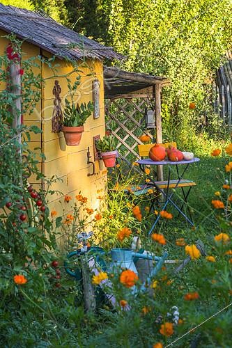 Biosphoto | 2084170 | Garden shack with seating area in july, Provence, France | &copy; Philippe Giraud / Biosgarden / Biosphoto