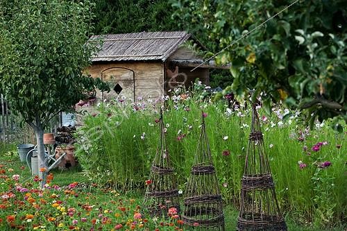 Biosphoto | 697951 | Garden shed and cosmos in bloom in Provence France | &copy; Philippe Giraud / Biosphoto