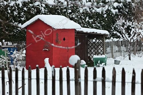 Biosphoto | 1091090 | Garden shed under snow in Provence France | &copy; Philippe Giraud / Biosphoto