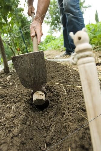 Biosphoto | 1127781 | Gardener doing his seedlings with a chalk France | &copy; Marc Chatelain / Biosphoto