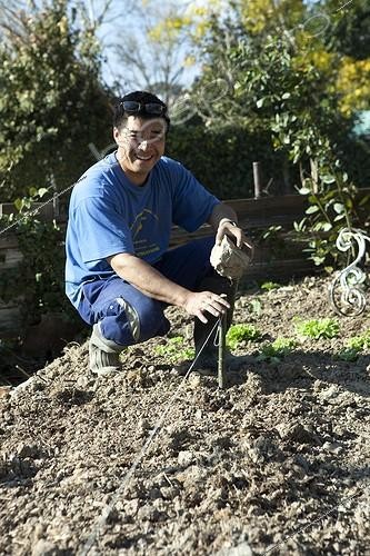 Biosphoto | 1200658 | Gardening in allotments Aygalades Marseille France | &copy; Philippe Giraud / Biosphoto