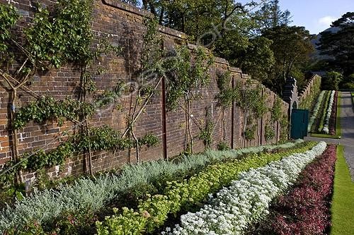 Biosphoto | 901164 | Gardens of the abbey of Kylemore in Ireland | &copy; Michel Gunther / Biosphoto