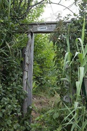 Biosphoto | 1200678 | Gardens workers Aygalades summer to Marseille France | &copy; Philippe Giraud / Biosphoto