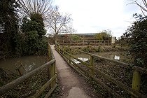 Biosphoto | 1251004 | Gateway WWT Slimbridge Reserve UK | &copy; Michel Gunther / Biosphoto
