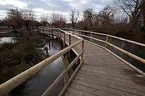 Biosphoto | 1251006 | Gateway WWT Slimbridge Reserve UK | &copy; Michel Gunther / Biosphoto