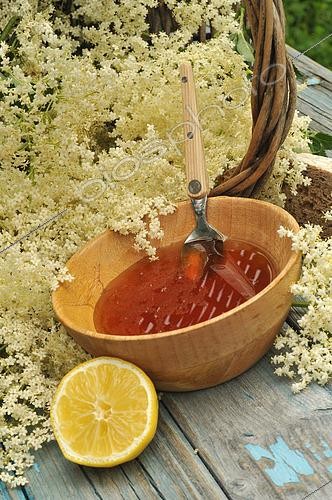 Biosphoto | 2518548 | Gelée de fleurs de Sureau (Sambucus) dans un bol en bois, fleurs de sureau, citron et cuillère manche en bois | &copy; Catherine Fruhinsholz / Biosphoto