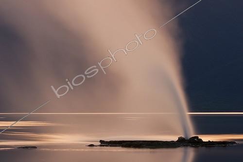 Biosphoto | 1370462 | Geyser et source chaude sur le lac Bogoria au Kenya | &copy; Martin Harvey / Biosphoto