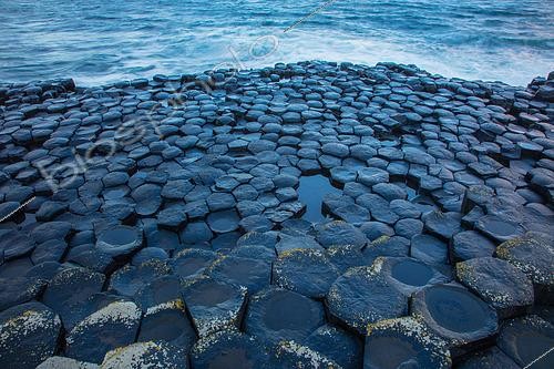 Biosphoto | 2436567 | Giant's Causeway, columnar basalt columns, result of an ancient volcanic fissure eruption, Northern Ireland, UK, World Heritage site | &copy; John Cancalosi / Biosphoto