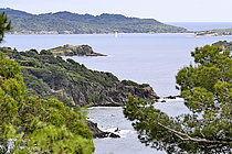 Biosphoto | 2609626 | Giens Peninsula and Porquerolles Island, Var, France | &copy; Dominique Delfino / Biosphoto