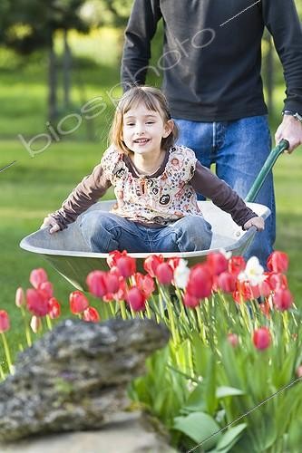 Biosphoto | 1164862 | Girl in a wheelbarrow pushed by her father ; The little girl was 5 years | &copy; Frédérique Bidault / Biosphoto