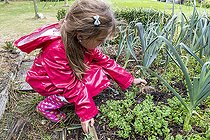 Biosphoto | 2437273 | Girl tearing leeks, autumn, Pas de Calais, France | &copy; Yann Avril / Biosphoto