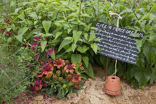 Biosphoto | 1646382 | Gite pour perce oreilles dans un jardin | &copy; NouN / Biosphoto