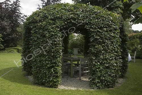 Biosphoto | 716087 | Gloriette de Hêtre et salon de jardin | &copy; NouN / Biosphoto