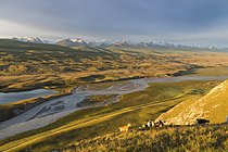 Biosphoto | 2609679 | Goats grazing on the hillside, Sary Jaz valley, Issyk Kul region, Kyrgyzstan | &copy; Therin-Weise / imageBROKER / Biosphoto