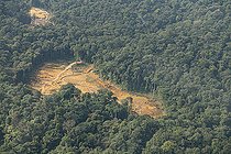Biosphoto | 2583236 | Gold panning in Amazonia, aerial view of the outskirts of the village of Cacao, where illegal gold panning is rife, old placer mining place, a scar from the work of the rivers to extract the gold flakes. Régina, French Guiana. | &copy; Vincent Premel / Biosphoto