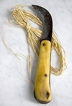 Biosphoto | 1636932 | Grafting knife and raphia in a garden | &copy; Lamontagne / Biosphoto