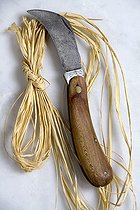 Biosphoto | 1636933 | Grafting knife and raphia in a garden | &copy; Lamontagne / Biosphoto