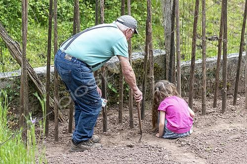 Biosphoto | 2437297 | Grand-père semant des Haricots à rames 'Vesperal' avec ses petites filles, printemps, Moselle, France | &copy; Yann Avril / Biosphoto