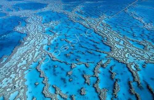 Biosphoto | 5807 | Grande Barrière de corail Australie | &copy; Jean-Paul Ferrero / Biosphoto