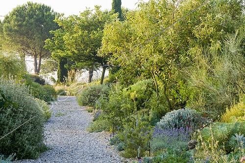 Biosphoto | 2034153 | Gravel path in a mediterranean garden | &copy; Marc Chatelain / Biosphoto