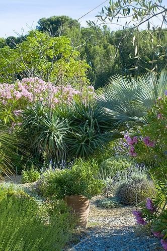 Biosphoto | 2034154 | Gravel path in a mediterranean garden | &copy; Marc Chatelain / Biosphoto