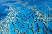 Biosphoto | 5807 | Great Barrier Reef | &copy; Jean-Paul Ferrero / Biosphoto
