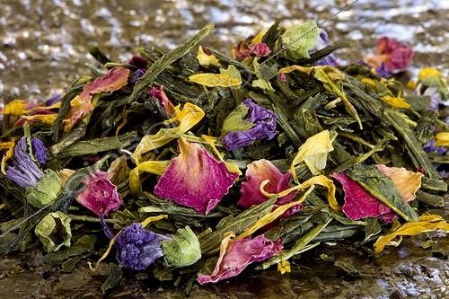 Biosphoto | 960210 | Green tea scented petal spinner 'Russian star' | &copy; Michel Gunther / Biosphoto