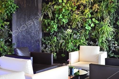 Biosphoto | 2047413 | Green wall of a hotel bar - Ile d'Oleron France ; Remigeasse. Built in 1965 on the dunes of the beach, the Grand Large hotel has been totally renewed in 2011. | &copy; Antoine Lorgnier / Biosphoto