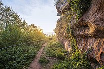 Biosphoto | 2504211 | Grès rose au château de Falkenstein, automne, Moselle, France | &copy; Yann Avril / Biosphoto