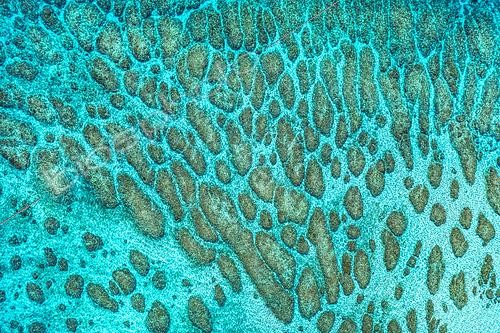 Biosphoto | 2563206 | Groove-like structures formed by corals in the lagoon, Mayotte | &copy; Gabriel Barathieu / Biosphoto