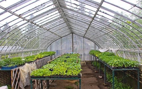 Biosphoto | 2581225 | Growing plants in a glass greenhouse, Jardin potager de Bonnétable, Sarthe, France | &copy; Michel Gile / Biosphoto