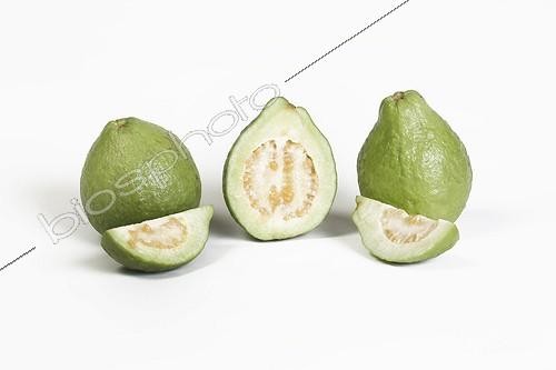 Biosphoto | 1849502 | Guavas in studio | &copy; M. Grenet & A. Soumillard / Biosphoto