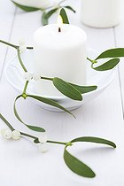 Biosphoto | 1828260 | Gui et bougie sur une table | &copy; Frédérique Bidault / Biosphoto