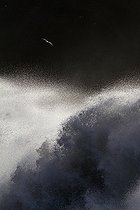 Biosphoto | 2087854 | Gull (Larus sp) flying over the ocean unleashed, Iceland | &copy; Philippe Moës / Biosphoto