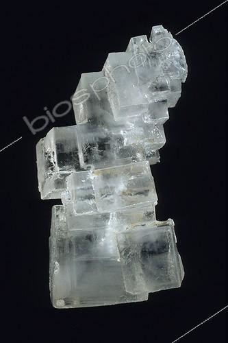 Biosphoto | 1469805 | Halite or rock salt on black baackground ; Collection School of Mines<br> | &copy; Monique Berger / Biosphoto