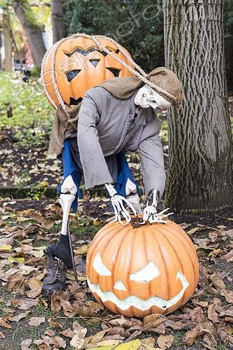 Biosphoto | 2150422 | Halloween display using pumpkins and skeleton in a garden, Germany | &copy; Yann Avril / Biosphoto
