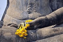Biosphoto | 1601254 | Hand of a Buddha statue decorated with a garland of flowers, Wat Mahathat, Sukhothai, Thailand, Asia | © Walter G. Allgoewer / imageBROKER / Biosphoto