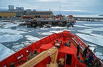Biosphoto | 1602781 | Harbour filled with ice floes, Christianshab, Greenland | © Walter G. Allgoewer / imageBROKER / Biosphoto