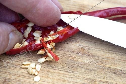 Biosphoto | 1636968 | Harvest of hot pepper seeds  | &copy; Lamontagne / Biosphoto