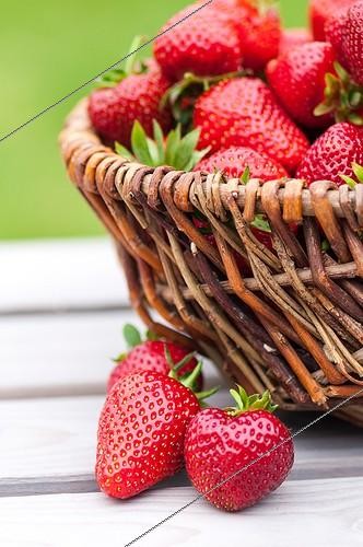 Biosphoto | 2012223 | Harvest of strawberries in a basket | &copy; Yann Avril / Biosphoto