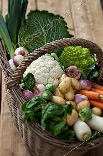 Biosphoto | 1084052 | Harvest of vegetables in a basket | &copy; Philippe Giraud / Biosphoto