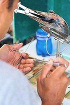 Biosphoto | 2041949 | Harvesting of a black pearl -Rangiroa  French Polynesia | &copy; Laurent Lhoté / Biosphoto