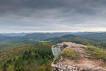 Biosphoto | 2438391 | Hauteurs du château de Falkenstein en automne, Vosges du Nord, Moselle, France | &copy; Yann Avril / Biosphoto