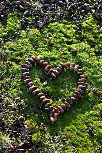 Biosphoto | 1091537 | Heart made with acorns on moss in a garden in winter | &copy; Philippe Giraud / Biosphoto