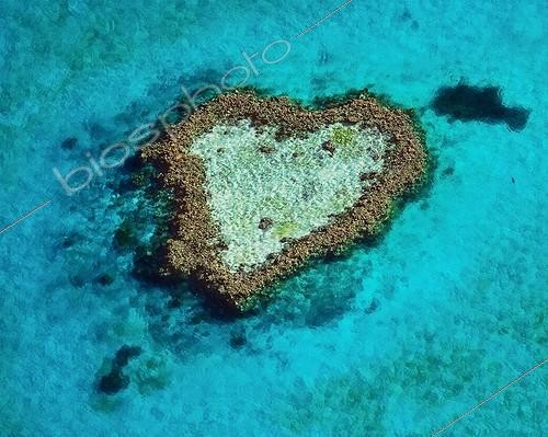 Biosphoto | 561571 | Heart-shaped coral reef Australia | &copy; Edouard Bense / Biosphoto
