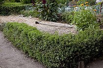 Biosphoto | 1249754 | Hedge of oregano in an organic kitchen garden | &copy; NouN / Biosphoto