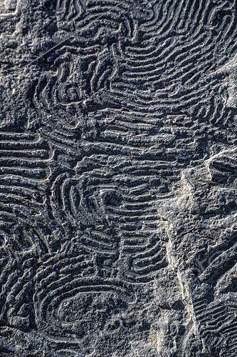 Biosphoto | 2495072 | Helminthoid flysch in Haute Ubaye. Helminthoid flysch is a turbidity that dates from the Upper Cretaceous, and shows sinuous traces associated with the movements of gastropods, which grazed the mud of the sea floor creating sinuous grooves. Haute Ubaye, Alpes de Haute-Provence, France | &copy; Jean-Philippe Delobelle / Biosphoto