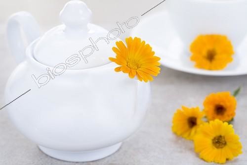 Biosphoto | 925303 | Herb pot of  Marigold herbal tea and cup of Marigold flower | &copy; Frédérique Bidault / Biosphoto
