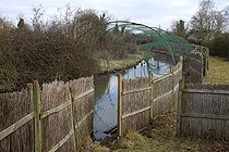 Biosphoto | 1251015 | Hidden passage WWT Slimbridge Reserve UK | &copy; Michel Gunther / Biosphoto