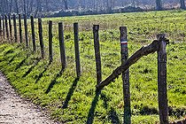 Biosphoto | 2575205 | Hiking trail signs on a meadow fence with wooden stakes, Sarthe, France | &copy; Michel Gile / Biosphoto